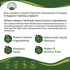 Lymphatic Drainage Drops. Sugar Free 7-in-1 Lymph Detox And Cleanse Support. Vegan Supplement with Echinacea Root, Red Clover Blossom, Burdock/Red...