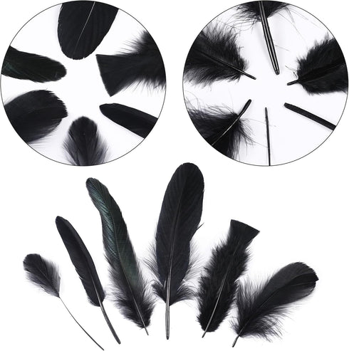 Larryhot Black Craft Feathers Bulk - 240pcs 6 Style Mixed Natural Feathers for Wedding Home Party, Dream Catcher Supplies and DIY Crafts (Black)...
