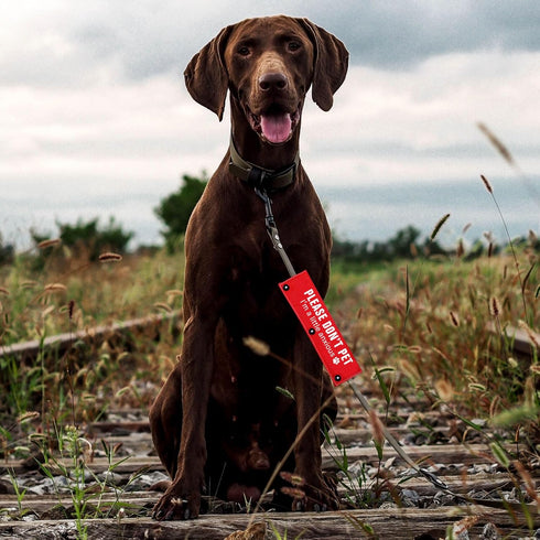 Please Don’t Pet/Anxious Dog Friendly Dog Leash Sleeve 2 Set - Dog Leash Wrap for Rescue Dogs and Anxious Dogs - Includes Red and Black 2 Sleeves ...