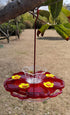 Ant Moat for Hummingbird Feeder - 3 OZ x 2 Pack Clear Insect Guard with Large Capacity...