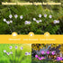 2Pcs Halloween Decoration Outdoor Solar Scary Eyeball Lights Green/Purple/Red Swaying Firefly Light 6/8/10/12 LED Waterproof Solar Path Lights for...