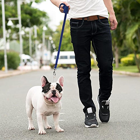 Downtown Pet Supply - Long Dog Leash - Dog Training Leash - Recall & Obedience Dog Training Tools - Nylon - 75 ft - Blue Dog Leash...