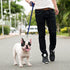 Downtown Pet Supply - Long Dog Leash - Dog Training Leash - Recall & Obedience Dog Training Tools - Nylon - 75 ft - Blue Dog Leash...