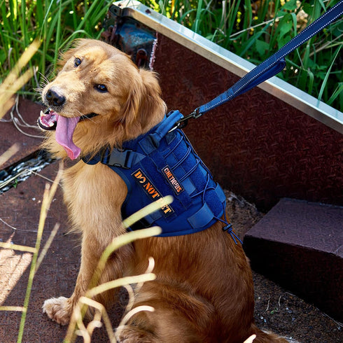 OneTigris Handled No-Pull Dog Walking Leash Long Traffic Leads for Medium to Large Dogs (Blue, 6FT)...