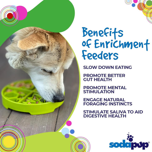 SodaPup Four Seasons Enrichment Bowl – Durable Slow Feeder Bowl Made in USA from Non-Toxic, Pet-Safe, Food Safe Material for Mental Stimulation, S...