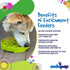 SodaPup Four Seasons Enrichment Bowl – Durable Slow Feeder Bowl Made in USA from Non-Toxic, Pet-Safe, Food Safe Material for Mental Stimulation, S...