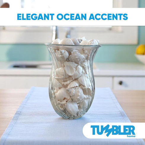 Tumbler Home Mix of White Seashells - Set Includes 1 Pound White Shells up to 3 inches - Home Decor, Vase Filler, Wedding Centerpiece, Christmas, ...