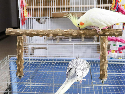 Large Bird Perch Stand, Natural Pepper Wood Bird Parrot Stand Branch, Wooden Bird Supply, Birdcage Accessories for Parrot Parakeet Cockatiels Conu...