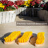 Pack of 3 - Hard Bristle Scrub Brush - Stiff Bristle Brush for Cleaning, Heavy Duty Scrub Brush, Utility Hand Brush Set for Indoor and Outdoor, Ny...