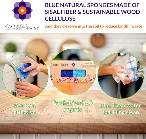 Blue Natural Kitchen Sponge, 12 Pack, Non-Scratch, Natural Sponge, Scrubber, Eco Friendly Sponges, Dishes, Sponge Kitchen, Natural Dish Sponge, Ec...
