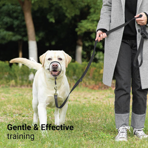 SVD.PET No-Pull Dog Headcollar for Easier Walks, Chew-proof protector to Increase Comfort, Simple Design, Easy to Wear and adjust (Medium size for...