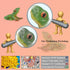 12PCS Mini Amphibians Set,Reptiles Animals Rainforest Wildlife Toy Set Lizard,Tortoise,Snake,Iguana,Tree Frog,Crocodile,Chameleon,Party Favor for ...