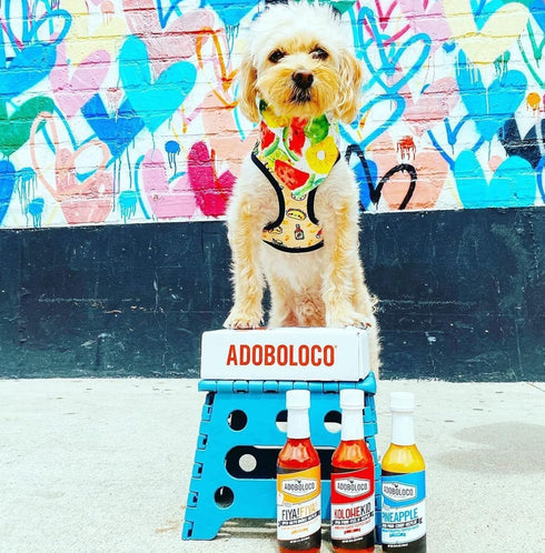 Adoboloco Hot Sauce MYNAHS BRAH! Roasted Sweet Pepper Jalapeno Sauce - 5oz Mild Tasty Savory Chili Pepper Sauce...