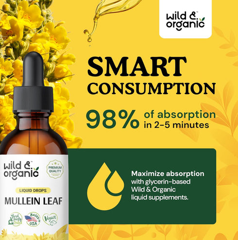 Mullein Leaf Tincture - Lung Detox - Organic Mulein Drops for Lung Health - Lung Cleanse - Mullein Leaf Liquid Extract Supplement - Vegan, No Addi...