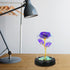 Childom Birthday Gifts for Women,Christmas Flowers Gifts for Her,Women,Mom,Wife,Grandma,Light Up Rose in Glass Dome,Colorful Purple Flowers for Ch...