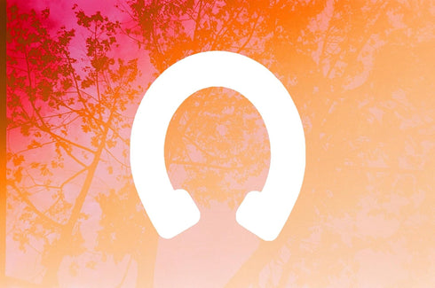 Horseshoe Style Design Stencil, 4-Inch, Reusable Mylar Cutout for Art, Crafts & DIY Projects...