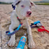 Bodhi Dog Sunscreen | Large 8oz SPF 30+ Moisturizing Pet Sunscreen | Safe for All Breeds of Dogs, Cats and Horses | Natural Skin Protection and Co...
