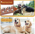 Spiked Dog Collar Brown Soft Pu Leather Funny Mushrooms Rivet Spike Studded Puppy Collar Adjustable Outdoor Pet Dog Collar for Small Medium Large ...
