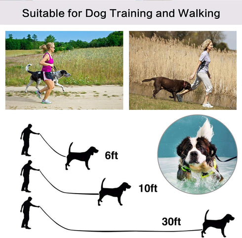 Jackpet Dog Lead Strong Belt Multiple Size 6 Ft 10 Ft 30 Ft Long Line for Midium Large Puppy Outdoor Training Leash(10 Ft Red)...