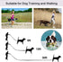 Jackpet Dog Lead Strong Belt Multiple Size 6 Ft 10 Ft 30 Ft Long Line for Midium Large Puppy Outdoor Training Leash(10 Ft Red)...