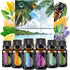Essential Oils Set - 4 Oils & 2 Blends, Top 6 Oils for Diffusers for Home, Relief, Serenity Dream Oil Blend Aromatherapy, Peppermint, Orange, Lave...