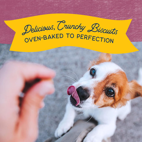 Natural Balance Limited Ingredient Rewards Crunchy Biscuits, Bite-Size Grain-Free Dog Treats for Small-Breed Dogs, Made with Real Venison, 8 Ounce...