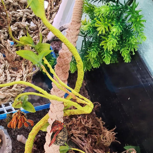 2 Pack 25.6" Hermit Crab Climbing Toys, Hanging Hermit Crab Rope Ladder, Hermit Crab Supplies, Reptile Vines Toys, Reptile Tank Terrarium Accessor...