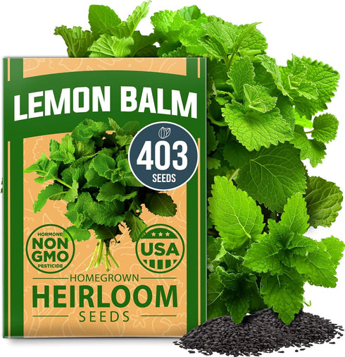 HOME GROWN Lemon Balm Seed Pack - 403 Non-GMO Heirloom Herbal Tea Seeds - Lemon Balm Seeds for Planting Herbal Tea Gardens Indoors or Outdoors - P...