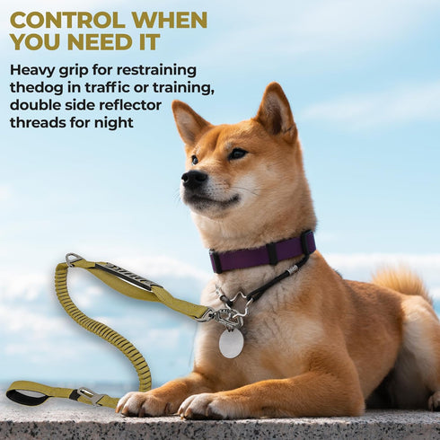 Urban Upstyle Double Handle Heavy Duty Dog Leash with Bungee Cord Stretch Seat Belt Latch and Poop Bag Dispenser (Army Green)...