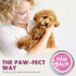 Paw Balm | 100% Natural Organic Nose & Paw Soother with Shea Butter & Coconut Oil | Paw Pad Balm for Dogs & Cats, Licksafe Paw Wax for Pets with L...