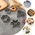 12Pcs Metal Biscuit Cutter Set Star Circle/Round Heart Flower Shaped Cookie Cutters for Food Small Stainless Steel Cookie Molds Cutter for Baking ...