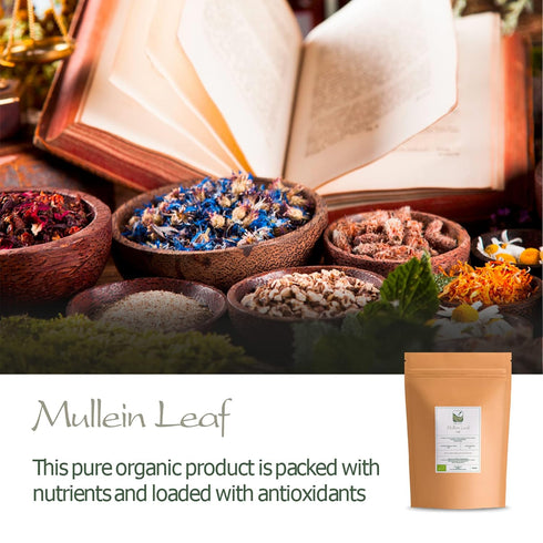 Mullein Leaf Organic Tea Herb - Gordolobo Tea Verbascum - Mullen Leaf Tea Mullien Leaf Mulein Leaf Mullier Mullin Leaf Mulien Muillen Tea Mullein ...