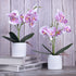 XONOR Artificial Orchid Flowers, 2 Pieces Potted Fake Orchids with Plastic Vase for Table Centerpiece Home Decor Office Wedding Party Decoration...
