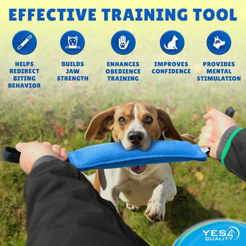 Dog Bite Tug Toy (11.8"x3.5"), Durable Blue Pull Toy w/ 2 Soft & Strong Black Handles, Tough Nylon Bite Pillow for Small to Medium Dogs, Ideal for...