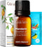 Gya Labs Mandarin Essential Oil for Skin - 0.34 Fl Oz - 100% Pure Natural Mandarin Oil for Diffuser, Skin, Hair, Aromatherapy & Candle Making - Fr...