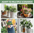 17.5 Inch Indoor Plant Trellis for Climbing Plants,Metal Trellis,Small Garden Trellis for Potted Plants,Plant Stakes for Indoor Plants Accessories...