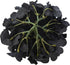 10pcs Hydrangea Silk Flowers Heads with Stems Artificial Hydrangea Flowers for Wedding Home Party Baby Shower Decor (Black)...