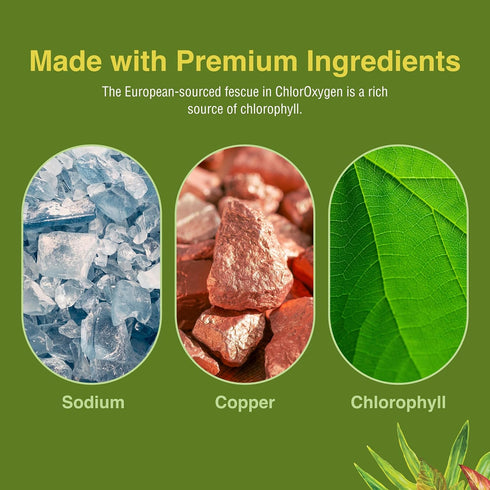 Herbs Etc. ChlorOxygen Chlorophyll Concentrate - Aids Healthy Blood Circulation - High-Altitude Environment Support - Energy Support - 60 Softgels...