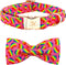 Elegant little tail Dog Collar, Rainbow Dog Collar Pet Collar LGBT for Pride Month Pet Collar Dog Girl Boy Adjustable Dog Collar for Large Dogs...