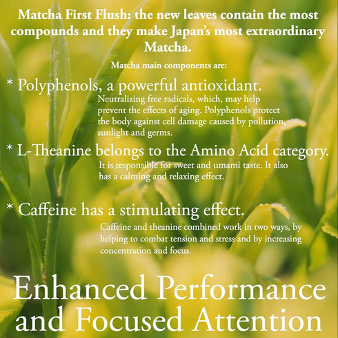 Organic Matcha Green Tea Powder | 3.5 OZ - 80 Servings | Latte & Smoothie Grade | Japanese - First Harvest - Stone Milled | By Pantenger...