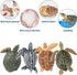 Toymany 6PCS Realistic Sea Turtle Figurines, Plastic Ocean Sea Animals Figures Set includes of Turtles, Educational Toy Cake Toppers Christmas Bir...