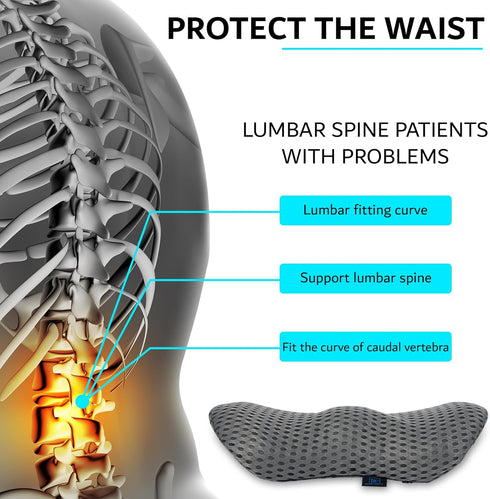 Lumbar Support Pillow - Memory Foam Back Pillow - Back Pain Relief - Detachable & Washable - Ergonomic Lumbar Pillow for Office Chair, Couch, Bed,...