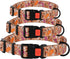CollarDirect Floral Dog Collar Nylon Pattern Flower Print Adjustable Pet Collars for Dogs Small Medium Large Puppy (Neck Fit 12"-16", Toffee)...
