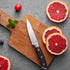 Paring Knife, 4 inch Small Kitchen Knife Ultra Sharp German Stainless Steel Fruit and Vegetable Cutting Chopping Knives - Full Tang Ergonomic Hand...