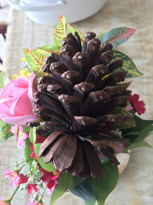 DKKRRNT PineCones Tall Bulk Package All Natural,Real Preserved Pine Cones Big Pinecones and Perfect Natural Pine Cones for Christmas Hanging Ornam...