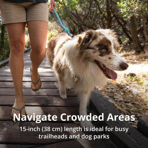 Ruffwear, Front Range Short Traffic Leash with Padded Handle, 15-inch (38cm) Durable Short Dog Lead for Training and Walking, Basalt Gray...