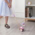Lively Carousel Wooden Push and Pull Walking Toy for Toddlers and Babies Girl or Boy, Classic Early Learning Wooden Balance Walking Play Toy...