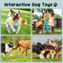 Large Squeaky Dog Toys- Cute Stretching Lion Dog Toys- Tug of War Plush Dog Chew Toys for Small,Medium and Large Dogs (L-7)...