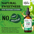 Ginkgo Biloba Tincture - Brain Supplements for Focus w/Organic Ginkgo Biloba - Ginkgo Biloba Drops for Brain Support - Focus Supplement w/Ginkgo B...
