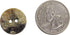 Akoya Mother of Pearl Shell Buttons: 28L, 0.70", 18mm (AR-384-28L) C10 (50)...